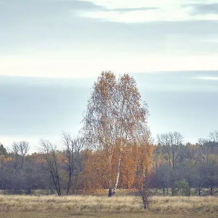 Marchewkowy Dom wakacyjny