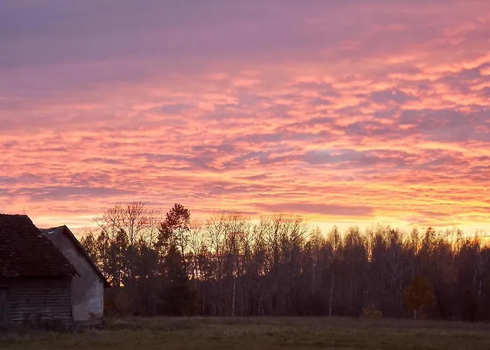 Marchewkowy * Siemiany