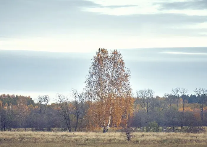 Marchewkowy Holiday home